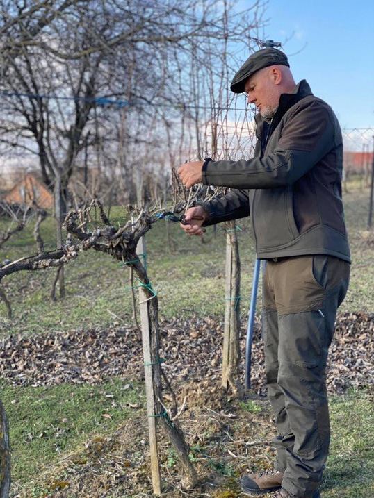 Kecskés Szilárd a pincészet szőlőültetvényén